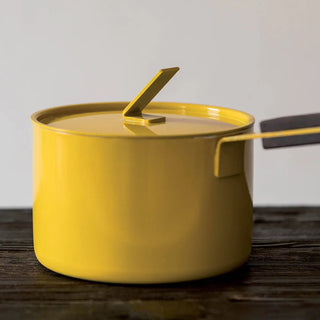 KnIndustrie The Saucepan Low Casserole with lid diam. 16 cm. - 6.29 in. - Buy now on ShopDecor - Discover the best products by KNINDUSTRIE design