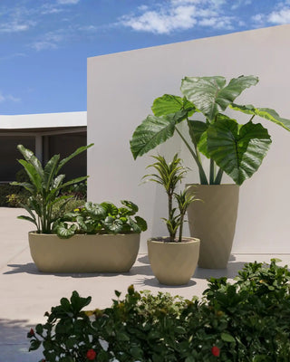 Vondom Vases Planter rectangular vase in polyethylene - Buy now on ShopDecor - Discover the best products by VONDOM design