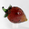WD Strawberry